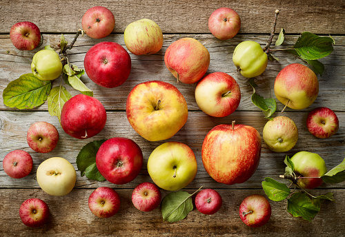 Così gli antiossidanti delle mele contrastano il tumore del colon-retto